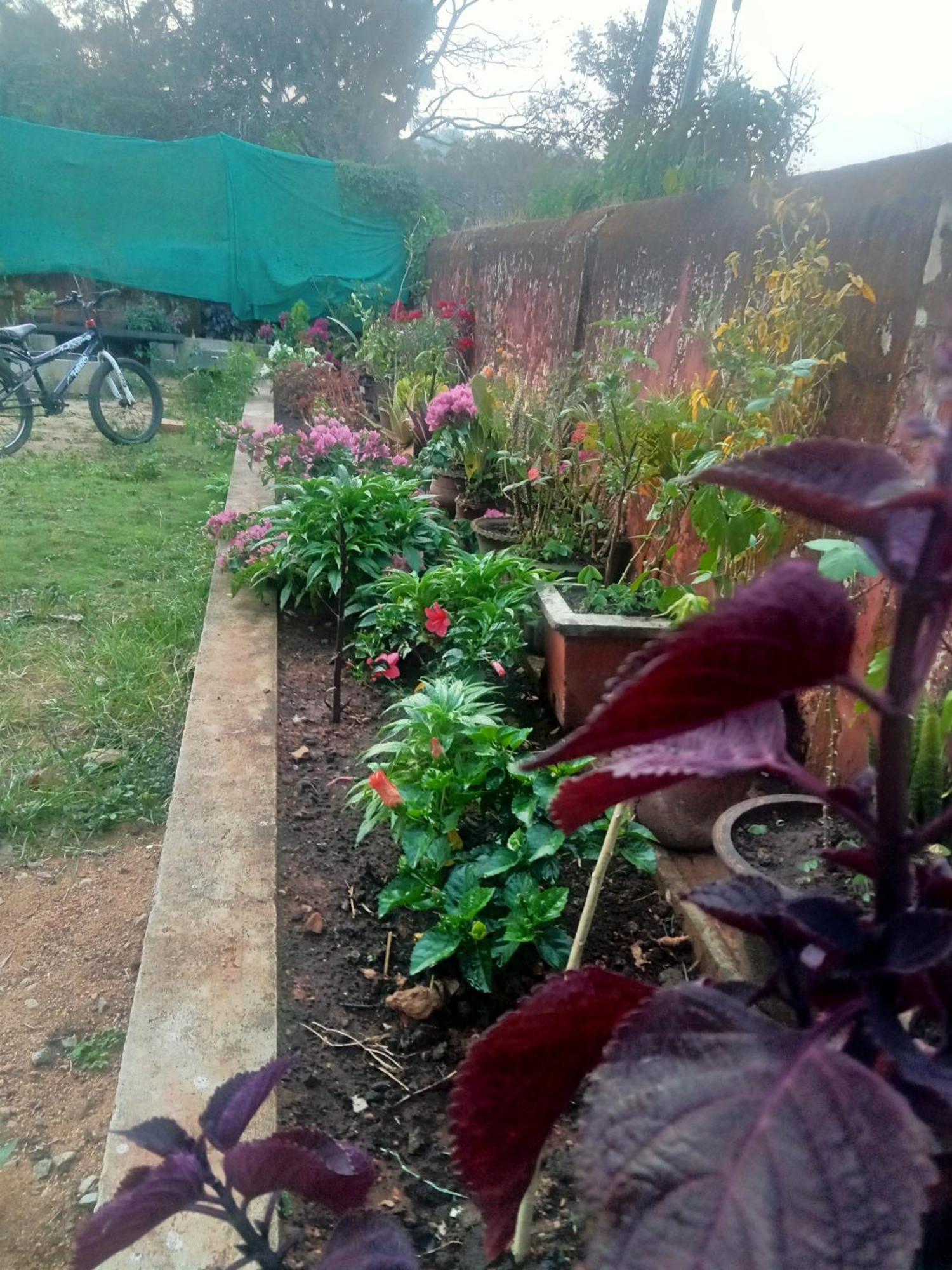 Eshwarkrupa Homestay Мадикери Экстерьер фото